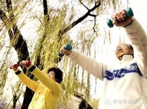 为老人点赞的游戏有哪些