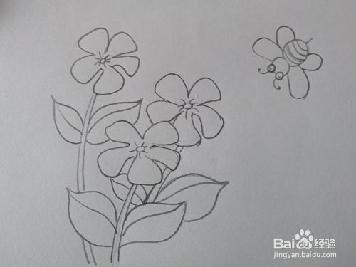 花卉图片大全大图简笔画 花卉图片大全大图简笔画