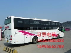 萧县多少汽车
