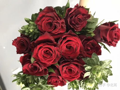 玫瑰的花语po