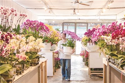 金华花店