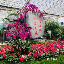 中国鲜花网电话