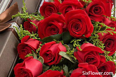 6朵玫瑰花语是什么