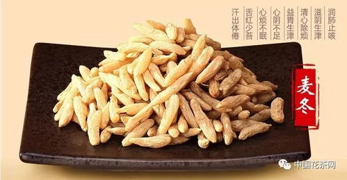 麦冬图片大全大图