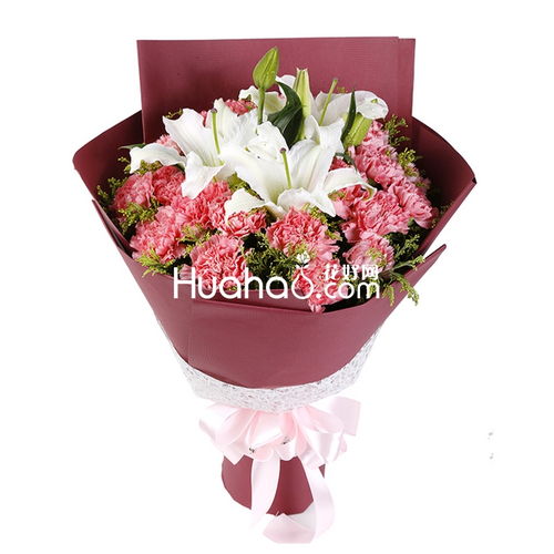 19朵康乃馨花语是什么