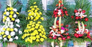 西安批发鲜花