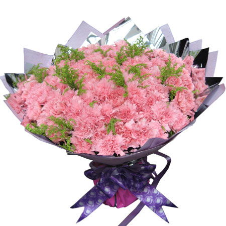 真实康乃馨鲜花花束图片大全