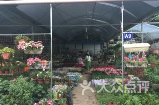深圳市鲜花批发市场
