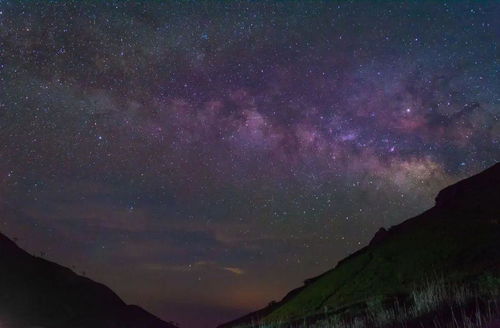 满天星的花语是我携满天星辰以赠你