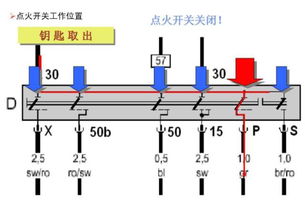 汽车电路多少条