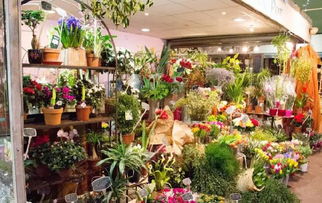 附近哪有花店