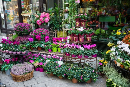 花店买花一般怎么买