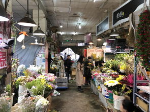 济南花卉批发市场