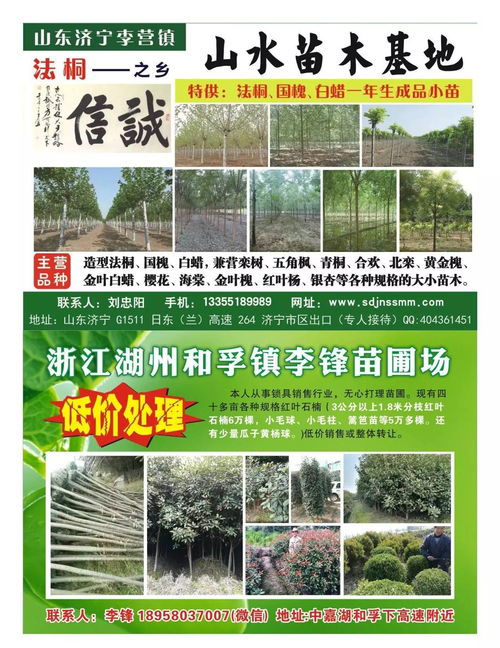 苗木采购有哪些网站