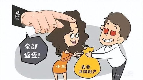 母子共有房产怎么执行