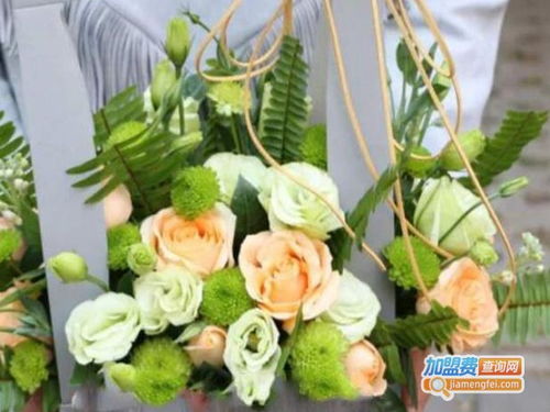 花仙女鲜花品牌加盟电话