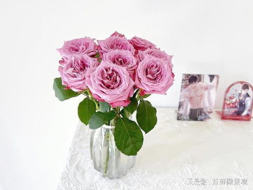 玫瑰花语和寓意是什么