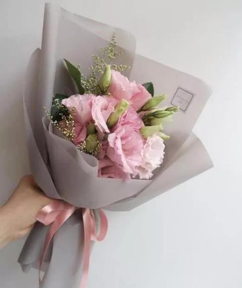 紫色洋桔梗花图片