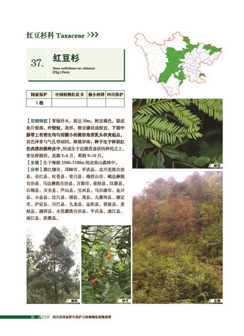 举例说明种子有几种传播方式