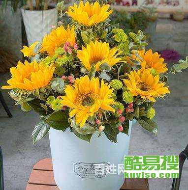 父亲生日鲜花买哪种