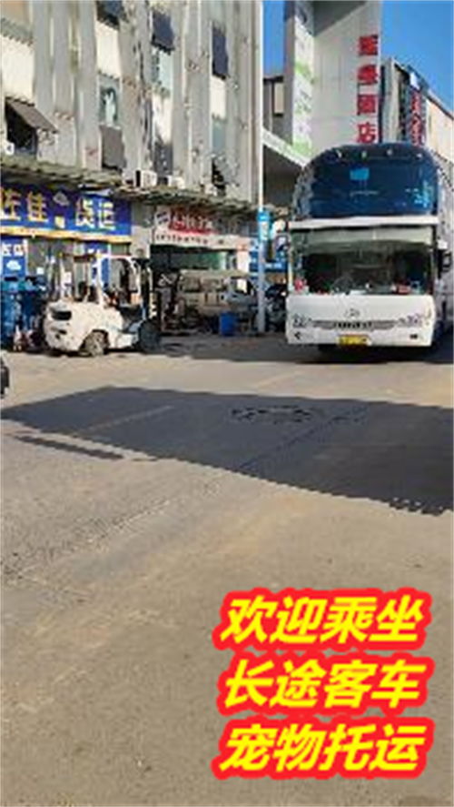 肇东到松原汽车站多少钱 肇东到松原汽车站多少钱