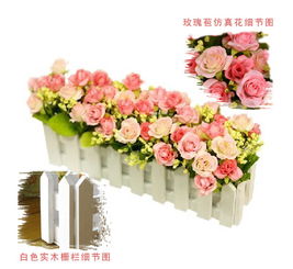 最美的绿玫瑰花图片