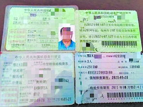有多少人有汽车驾照资格