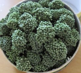三七花