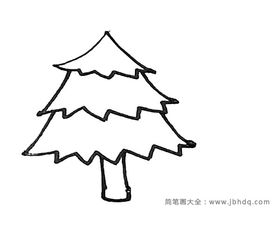 松树图片简笔画