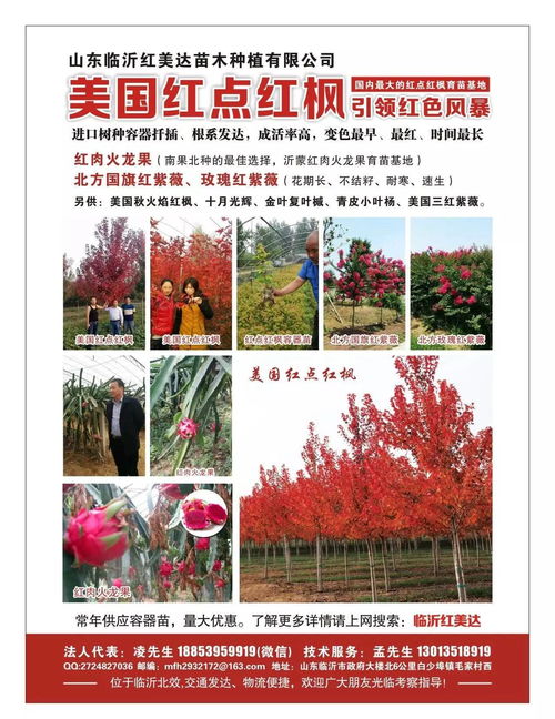 中国花木资讯网 中国花木资讯网