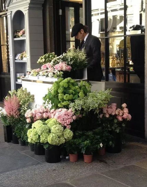 枣强花店