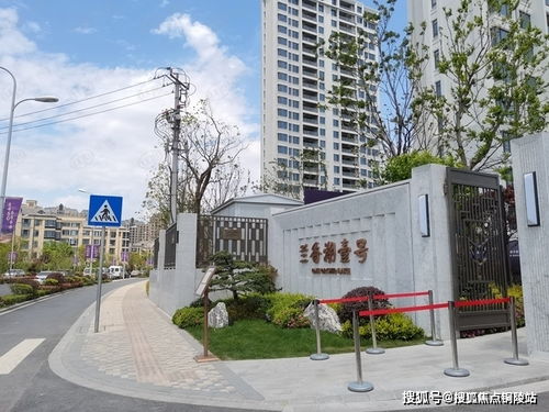 菠萝汽车多少升油箱