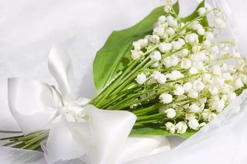 女生生日适合送什么花 女生生日适合送什么花