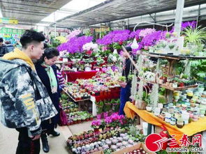 附近的花卉市场批发