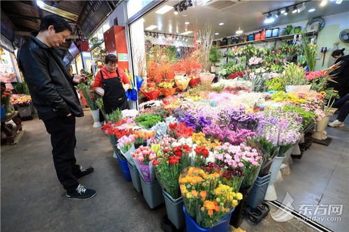 西安花卉批发市场进货渠道 西安花卉批发市场进货渠道