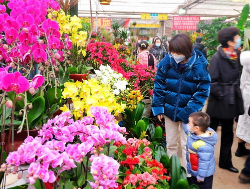 西安鲜花资材批发在哪