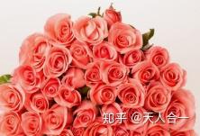 玫瑰花数量代表的意思