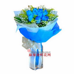 蓝玫瑰表示什么意思