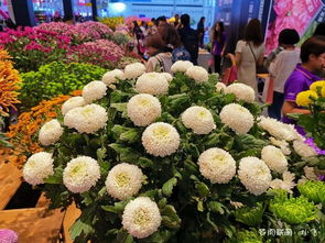 昆明麻花鲜花网