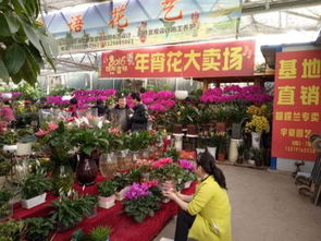 西安花卉市场地址
