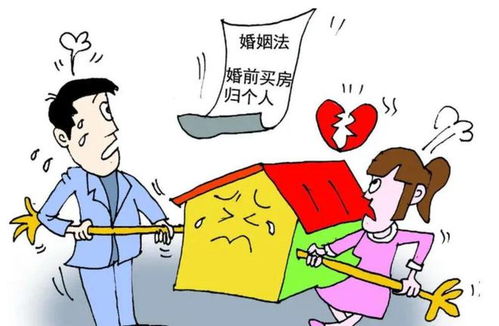 夫妻共同房产怎么写