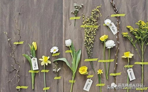 如何开花店进货渠道