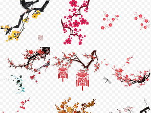 梅花图片素材