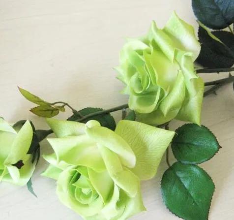 绿玫瑰的花语是什么