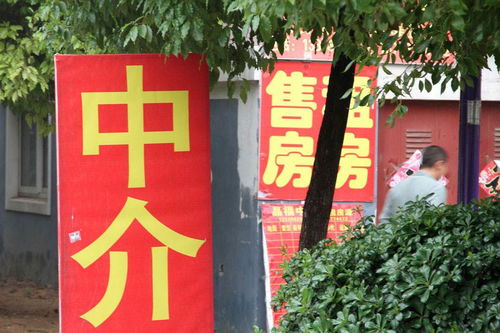 怎么自己开好房产中介