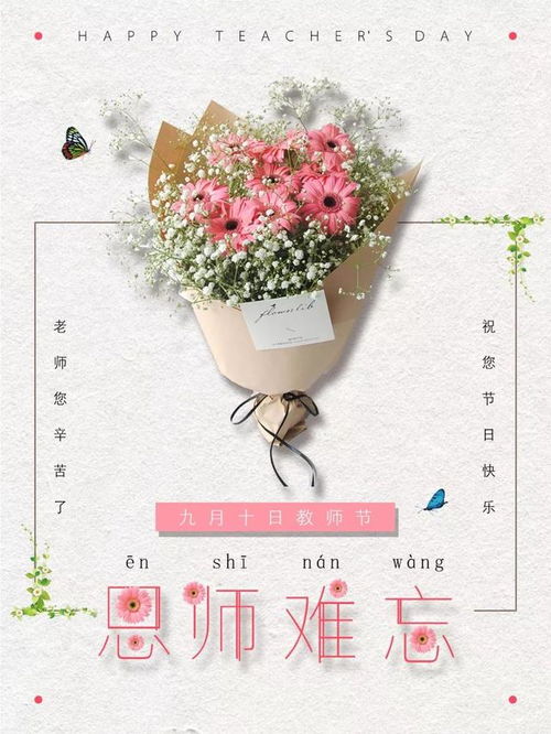 什么花送给老师最合适