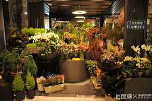 肇庆花店的电话