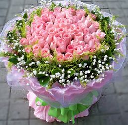情人节花图片大全 情人节花图片大全