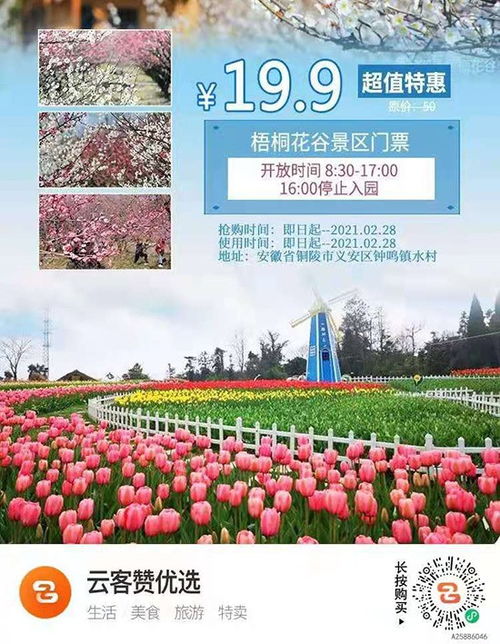 铜陵鲜花预订