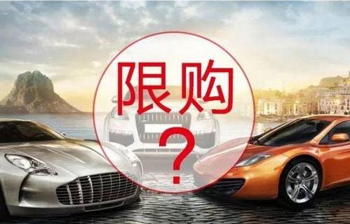 汽车排有多少车费